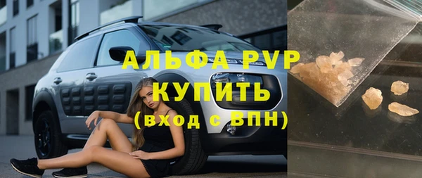стаф Вязьма