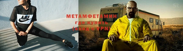стаф Вязьма