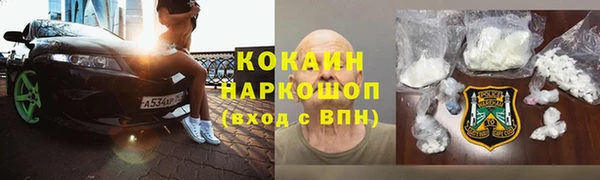 стаф Вязьма