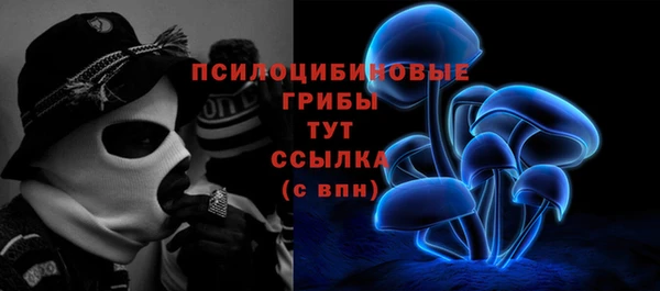 стаф Вязьма