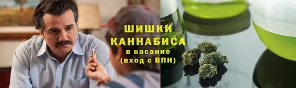 стаф Вязьма