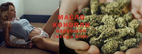 стаф Вязьма