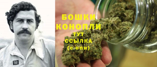 стаф Вязьма