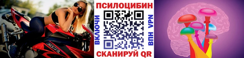 Галлюциногенные грибы мухоморы  Купить закладки  Красный Холм 